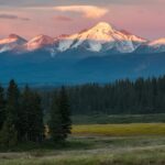 mountain eagle obituaries