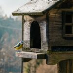 vogelhaus mit ständer
