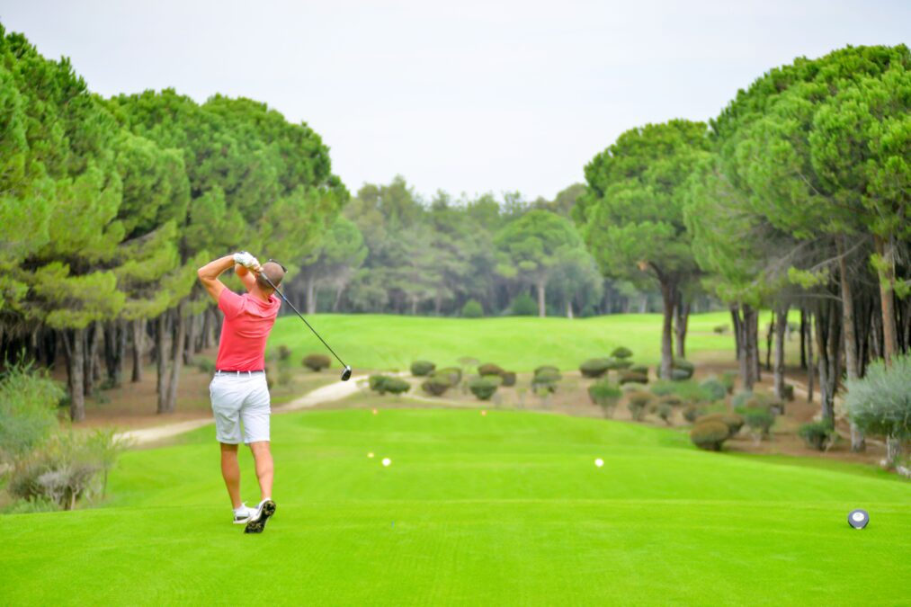 tiger woods vermögen